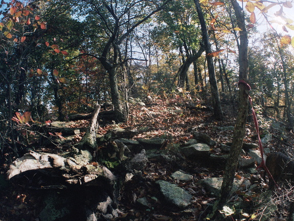 Sheltowee Trace in October